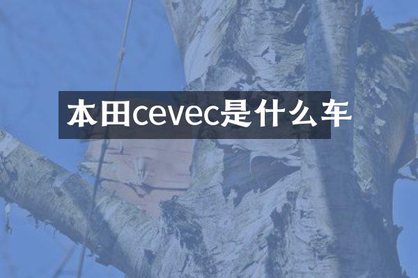 本田cevec是什么车