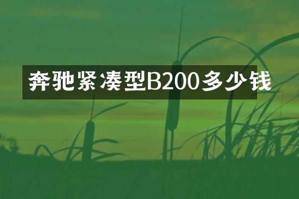 奔驰紧凑型B200多少钱