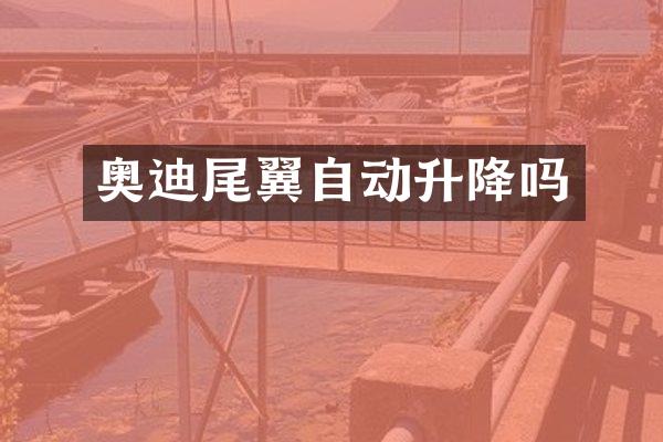 奥迪尾翼自动升降吗