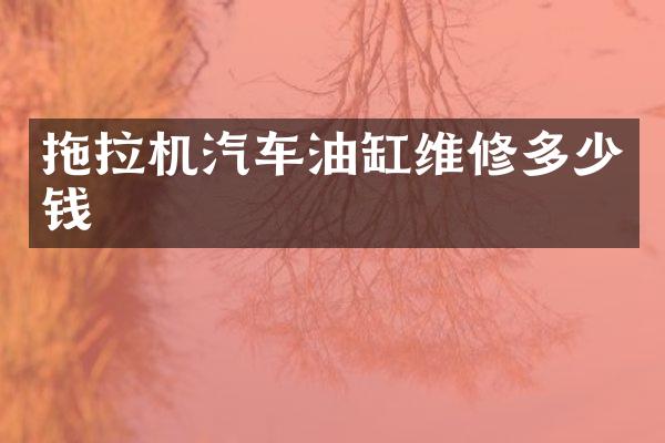 拖拉机汽车油缸维修多少钱