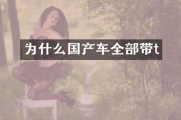 为什么国产车全部带t