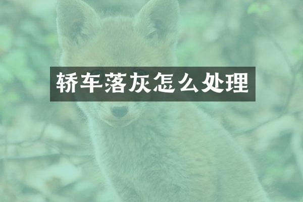 轿车落灰怎么处理