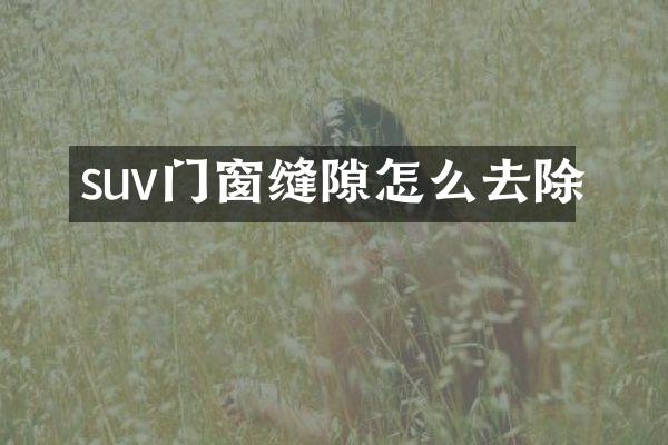 suv门窗缝隙怎么去除