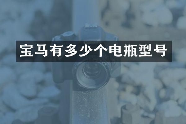 宝马有多少个电瓶型号