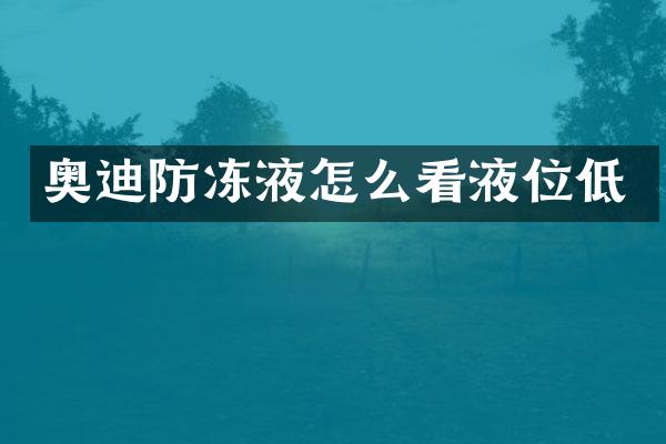 奥迪防冻液怎么看液位低
