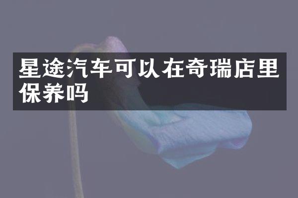 星途汽车可以在奇瑞店里保养吗
