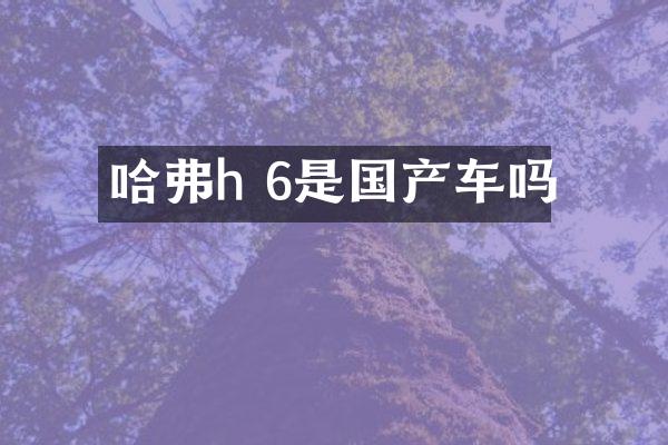 哈弗h 6是国产车吗