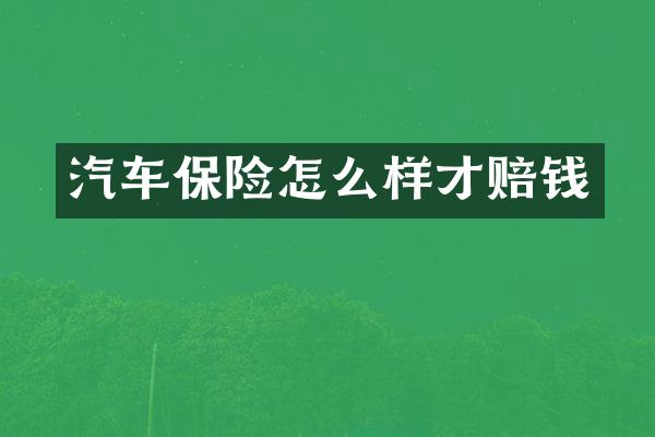 汽车保险怎么样才赔钱