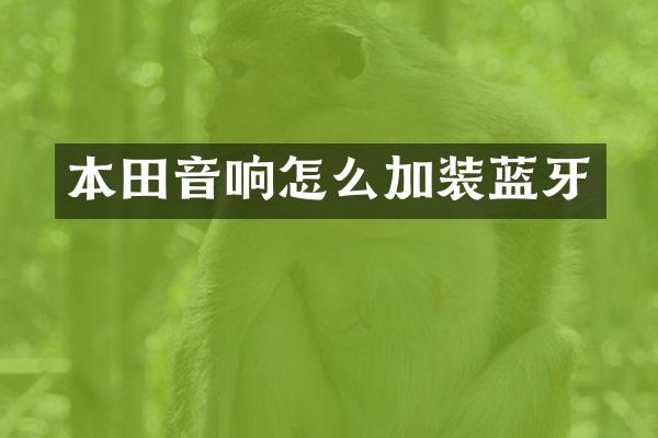 本田音响怎么加装蓝牙