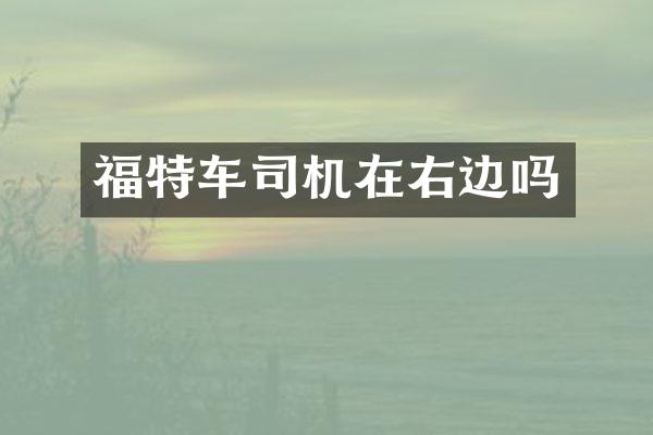 福特车司机在右边吗