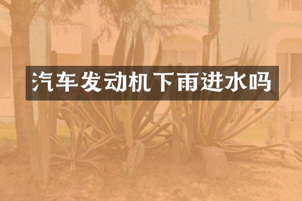 汽车发动机下雨进水吗