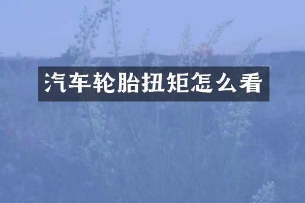 汽车轮胎扭矩怎么看