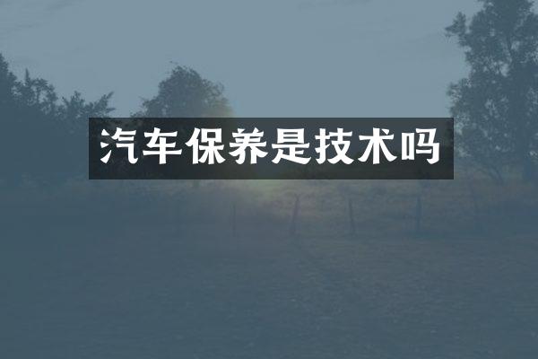 汽车保养是技术吗
