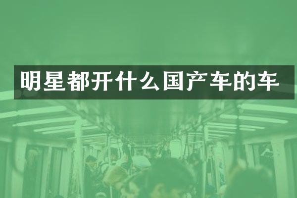 明星都开什么国产车的车