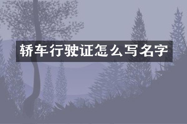 轿车行驶证怎么写名字
