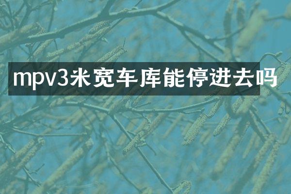 mpv3米宽车库能停进去吗
