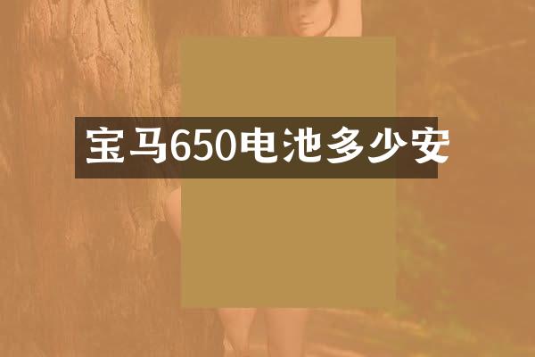 宝马650电池多少安
