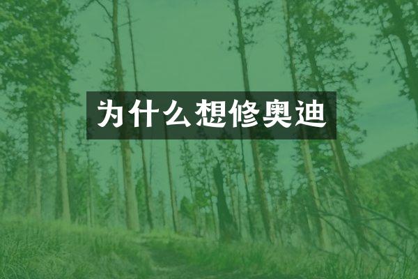 为什么想修奥迪