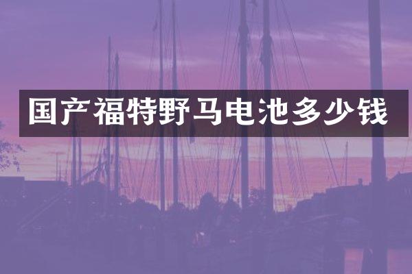 国产福特野马电池多少钱