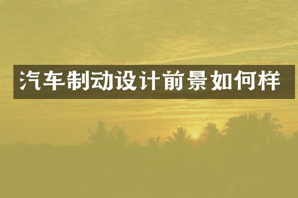 汽车制动设计前景如何样
