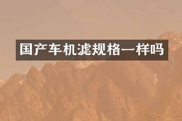 国产车机滤规格一样吗