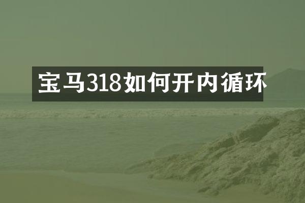 宝马318如何开内循环