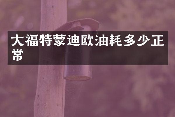 大福特蒙迪欧油耗多少正常