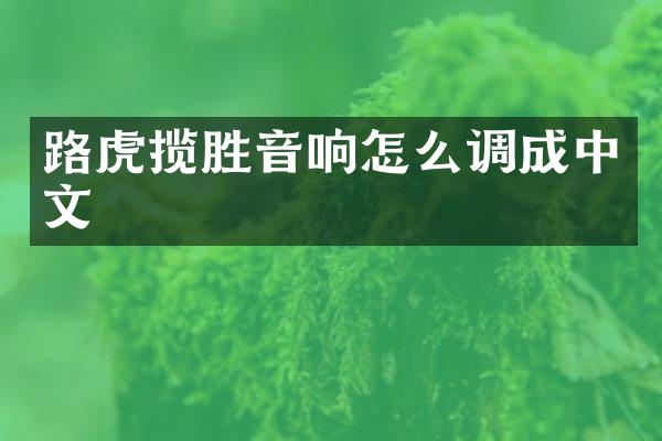 路虎揽胜音响怎么调成中文
