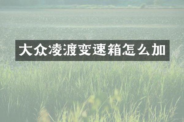 大众凌渡变速箱怎么加