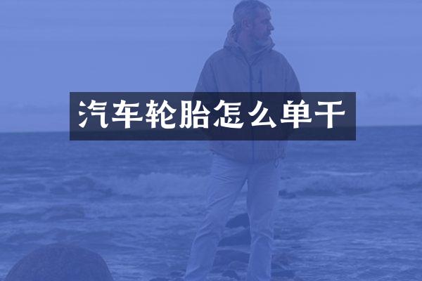 汽车轮胎怎么单干