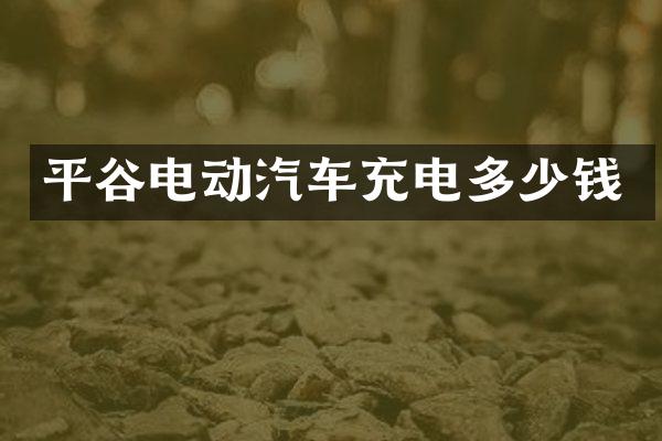 平谷电动汽车充电多少钱