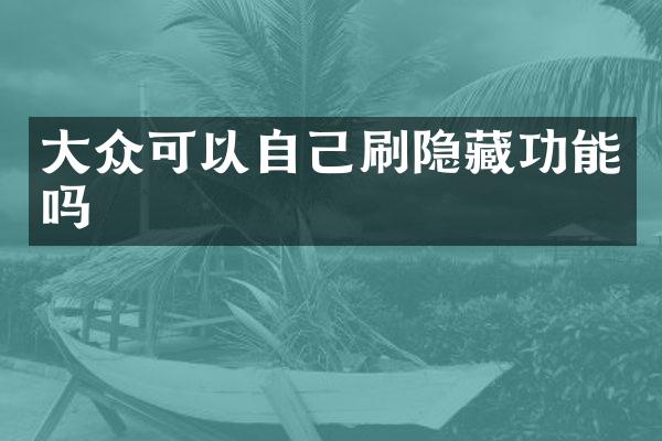 大众可以自己刷隐藏功能吗