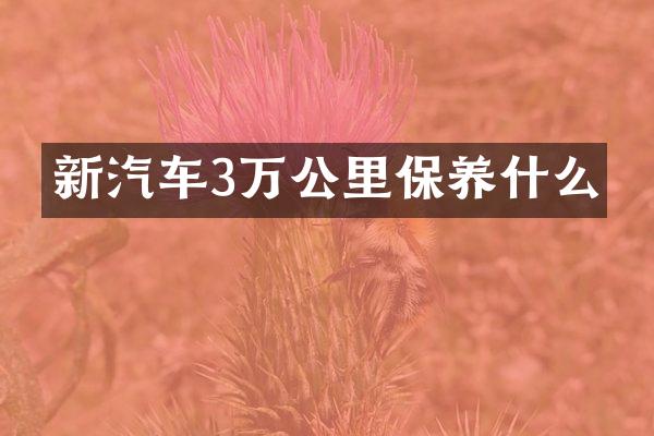 新汽车3万公里保养什么