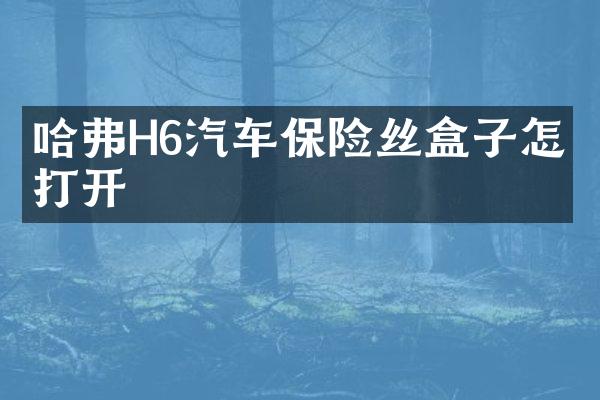 哈弗H6汽车保险丝盒子怎么打开