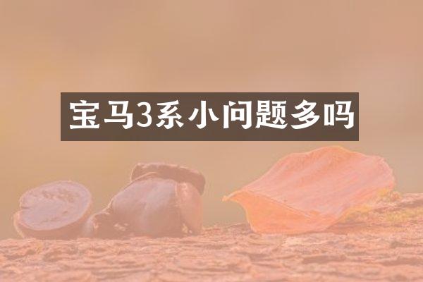 宝马3系小问题多吗