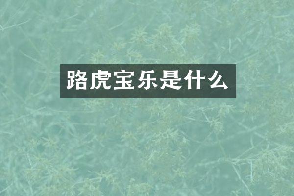 路虎宝乐是什么