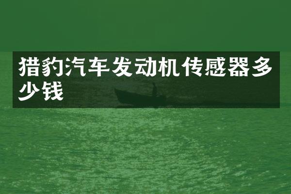 猎豹汽车发动机传感器多少钱