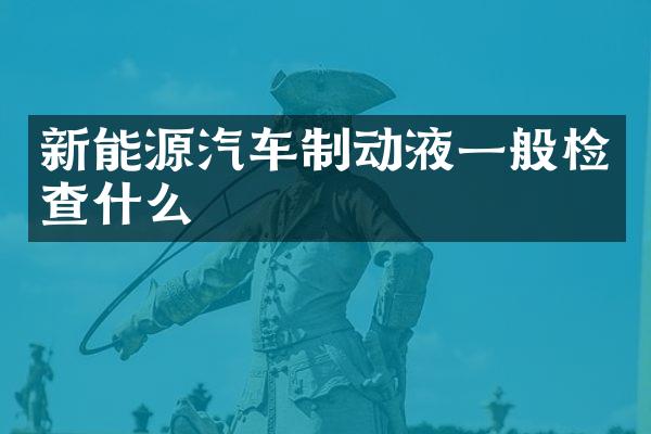 新能源汽车制动液一般检查什么