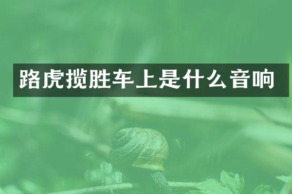 路虎揽胜车上是什么音响