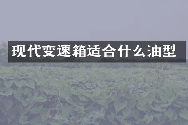 现代变速箱适合什么油型