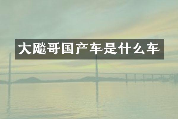 大飚哥国产车是什么车