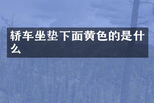 轿车坐垫下面黄色的是什么