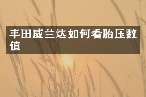 丰田威兰达如何看胎压数值
