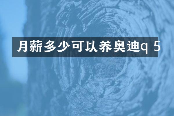 月薪多少可以养奥迪q 5