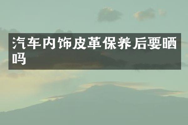 汽车内饰皮革保养后要晒吗