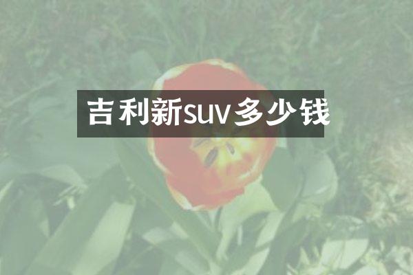 吉利新suv多少钱