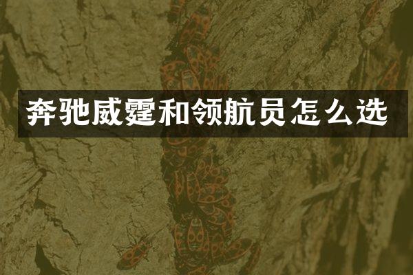 奔驰威霆和领航员怎么选