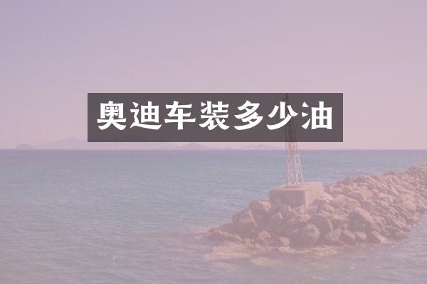 奥迪车装多少油