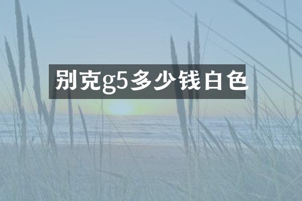 别克g5多少钱白色
