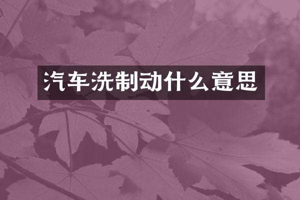 汽车洗制动什么意思